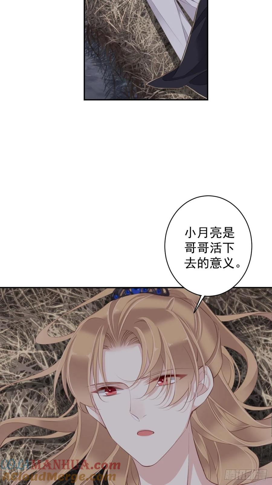 郡主不四嫁 073 她是你的嫂子 第19页