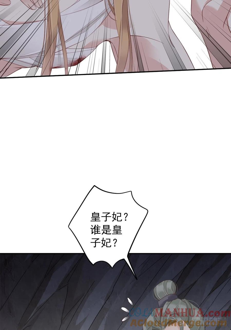 郡主不四嫁 075 我全都想起来了 第24页