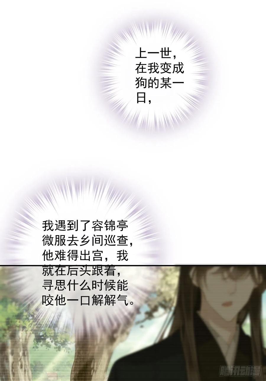 郡主不四嫁 077 她还活着 第18页