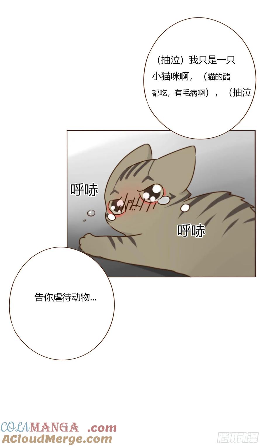 拥然入怀 一五九章 一起休息吧 第39页