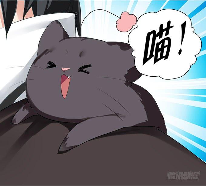 《咖啡店的魔女》复活的猫！ 第10页