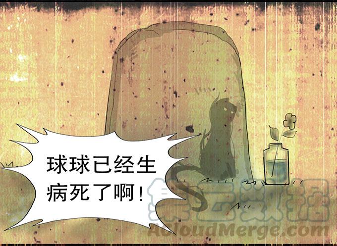 《咖啡店的魔女》复活的猫！ 第21页