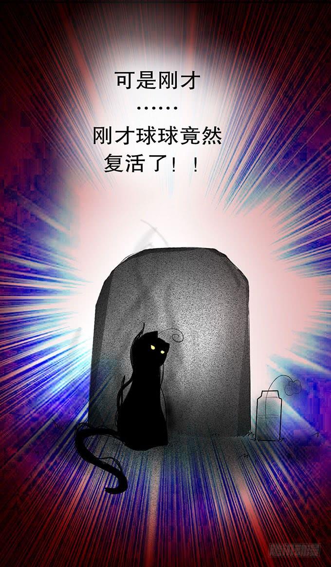 《咖啡店的魔女》复活的猫！ 第30页