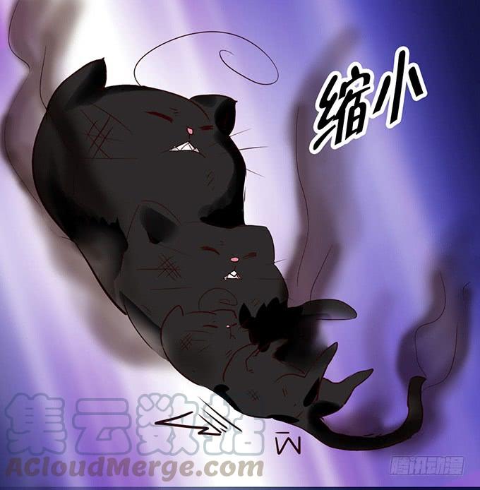 《咖啡店的魔女》神秘的美少女！ 第25页