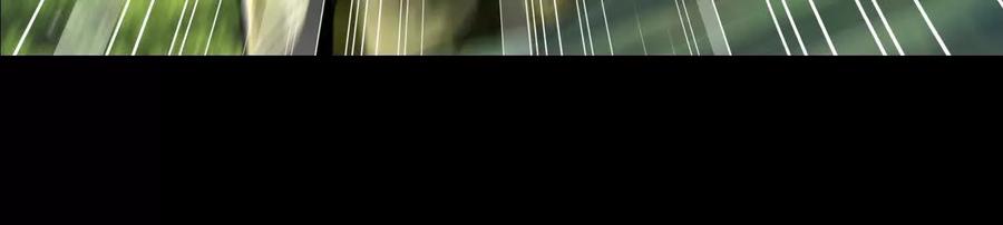 《开局获得神脉的我无敌了》054 真气丹 第17页