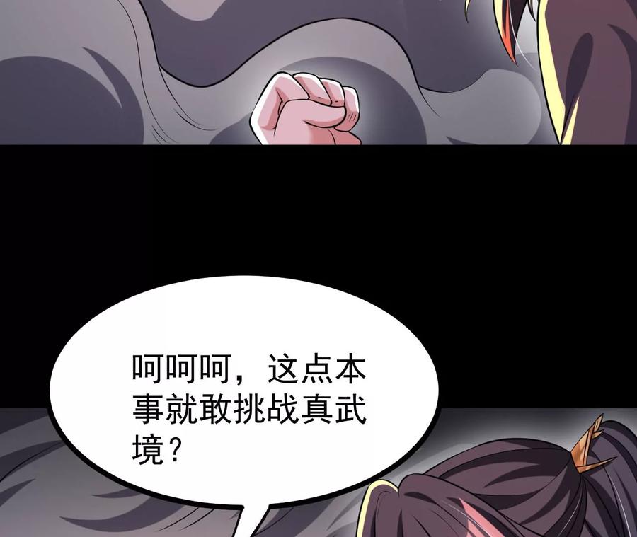 《开局获得神脉的我无敌了》058 真元丹 第29页