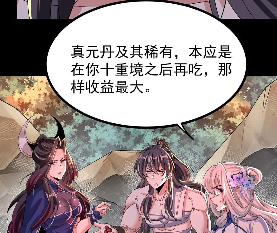 《开局获得神脉的我无敌了》058 真元丹 第68页