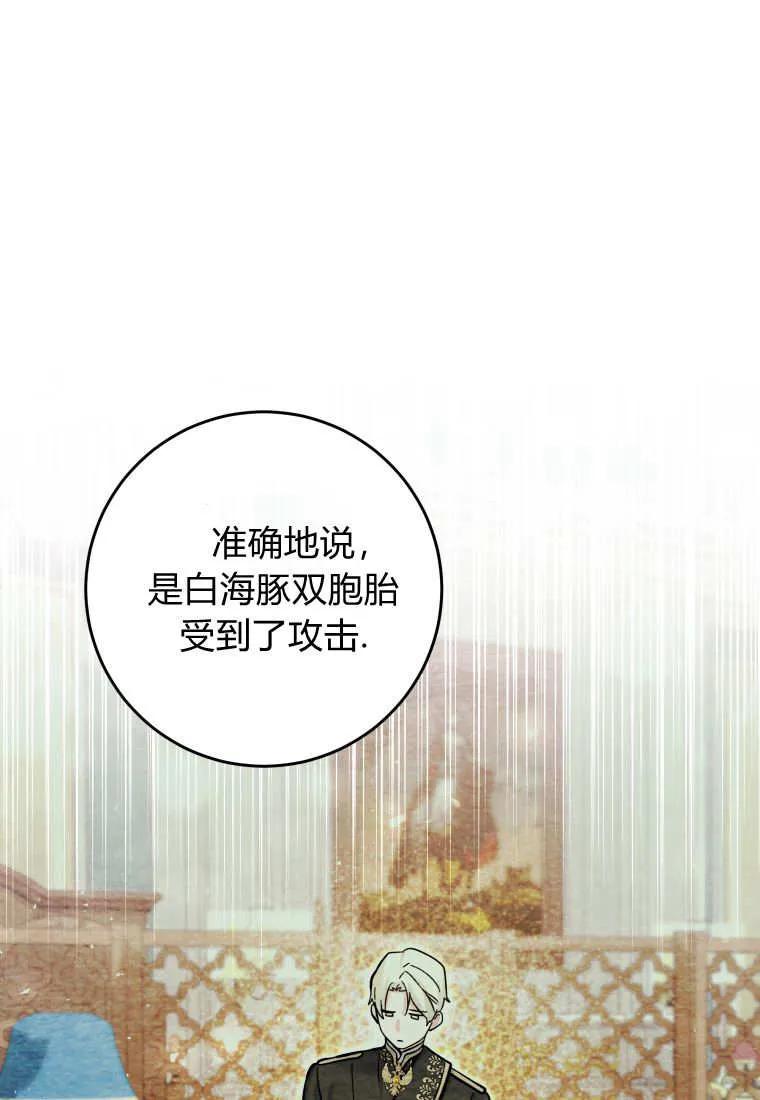 黑幕虎鲸宝宝 第17话 第90页