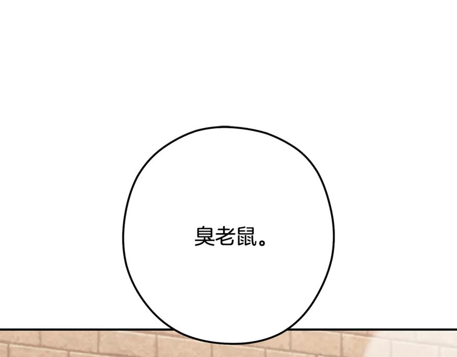 重启地下城 第243话 大起大落 第23页