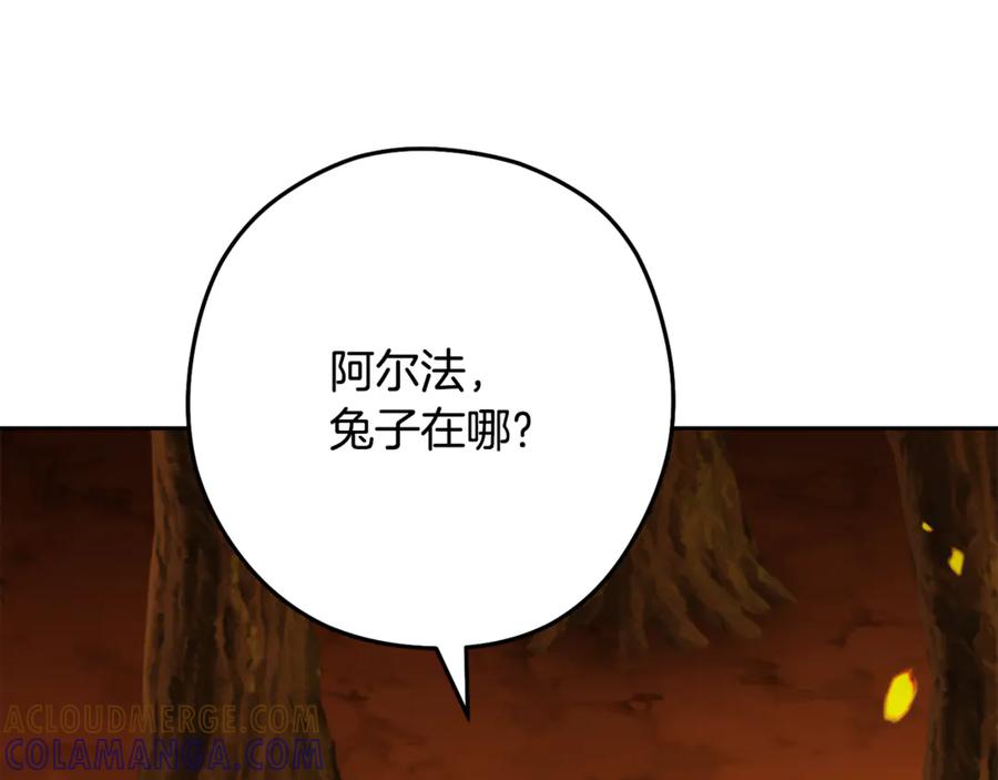 重启地下城 第254话 寻找魔女之屋 第241页