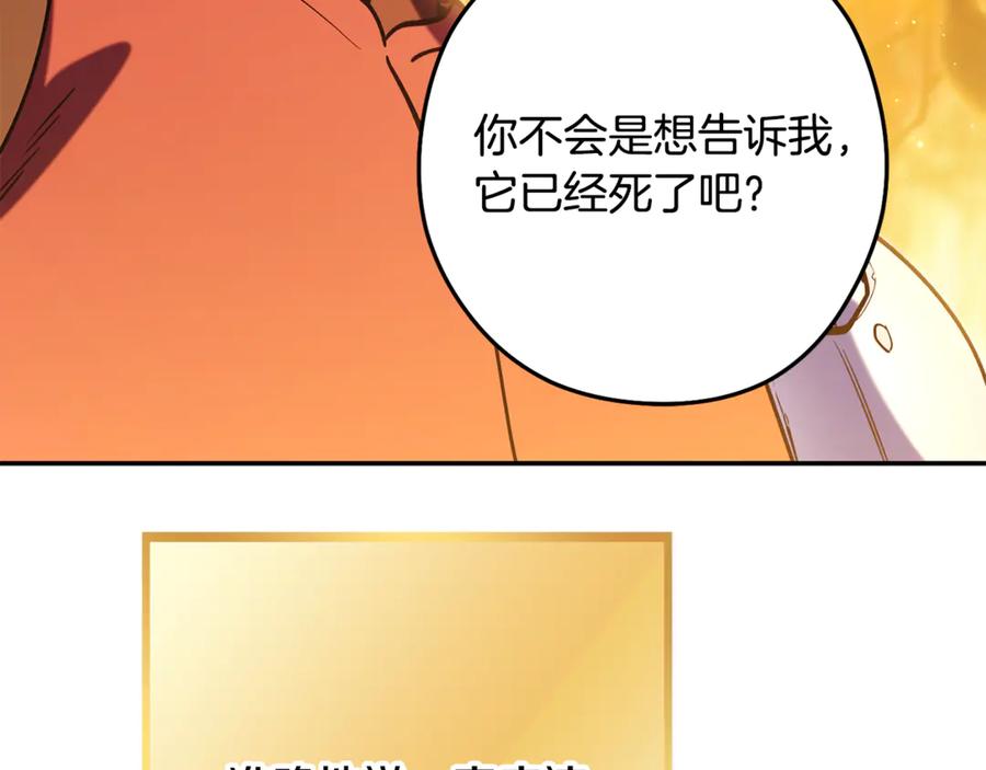 重启地下城 第254话 寻找魔女之屋 第247页