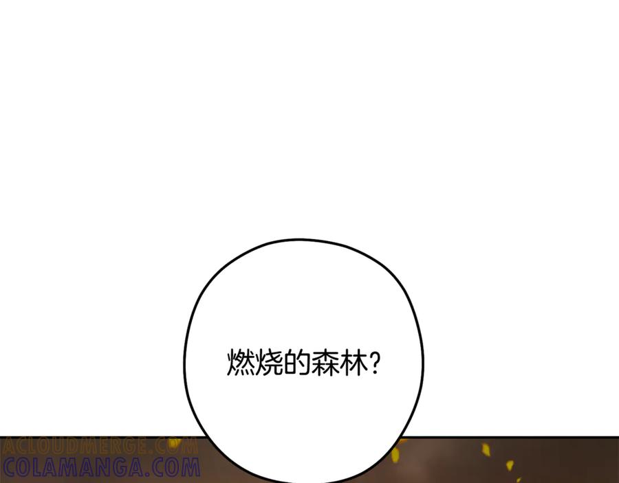 重启地下城 第254话 寻找魔女之屋 第237页