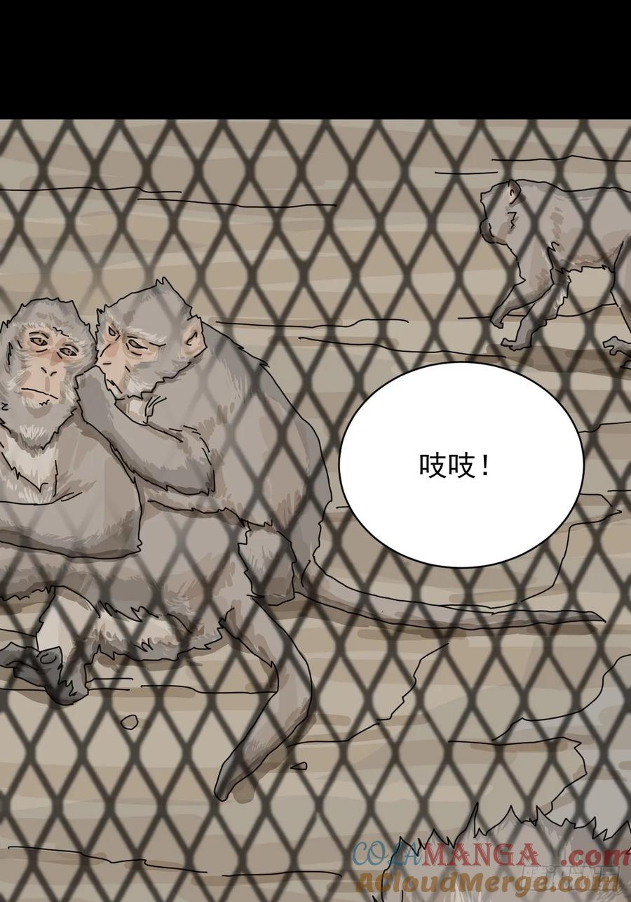 山傀：山神诡录 - 大圣归来（一） - 第28张图