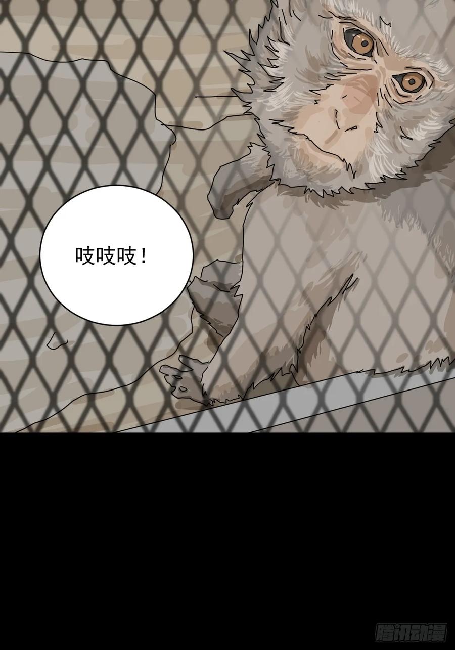 山傀：山神诡录 - 大圣归来（一） - 第29张图