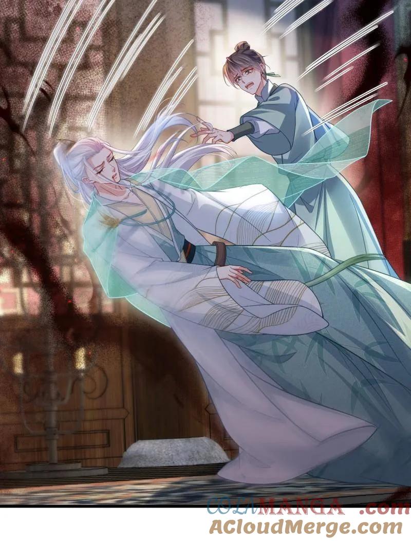 宦妃天下（太监王爷强娶我） 第442话 赫云重病 第28页