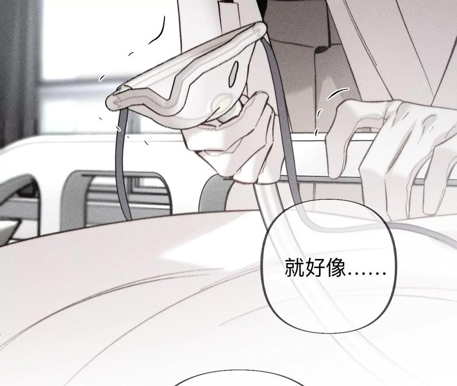 《男友半糖半盐》183.鳄鱼的眼泪 第42页