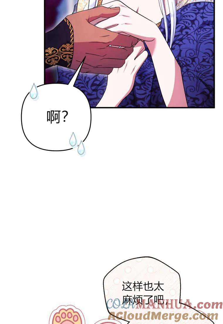 成为苏尔坦珍爱的猫咪 第35话 第41页
