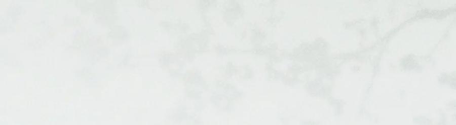 80.jpg