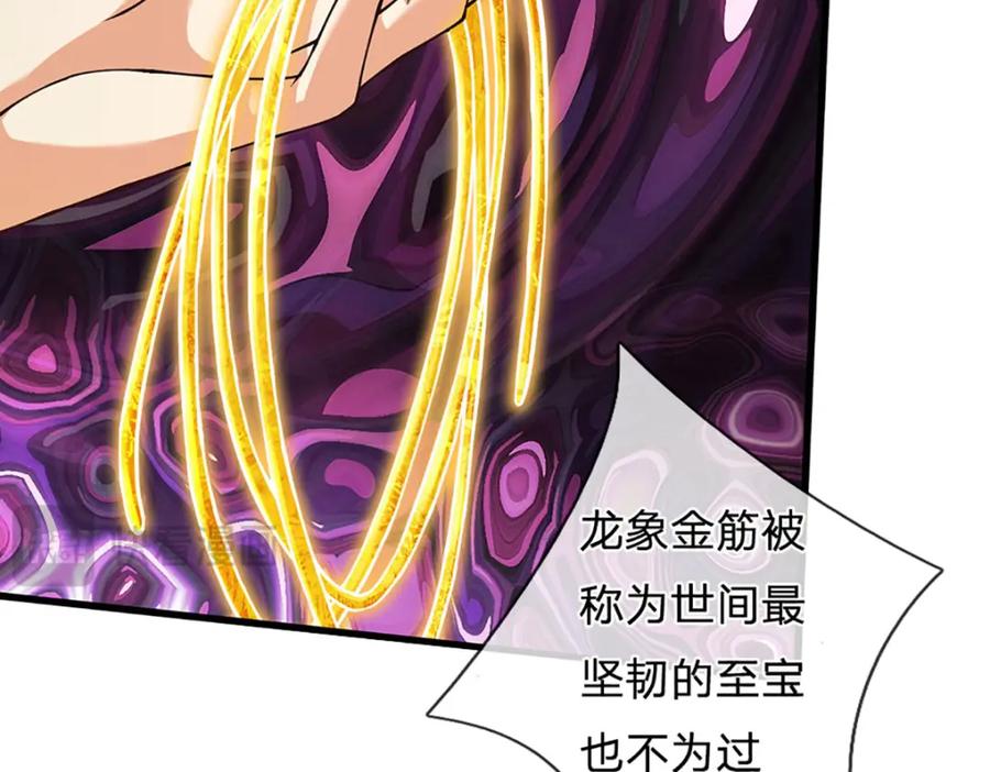 《开局签到至尊丹田》第284话 龙象金筋，坚韧至宝 第102页