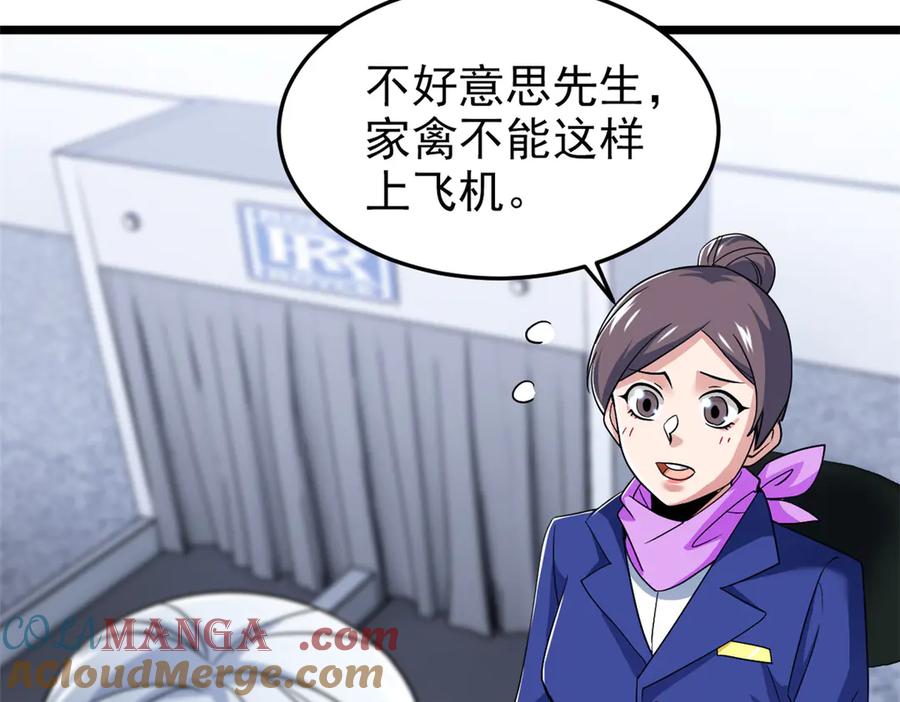 从精神病院走出的强者 287 艰难渡海，飞不动了 第13页