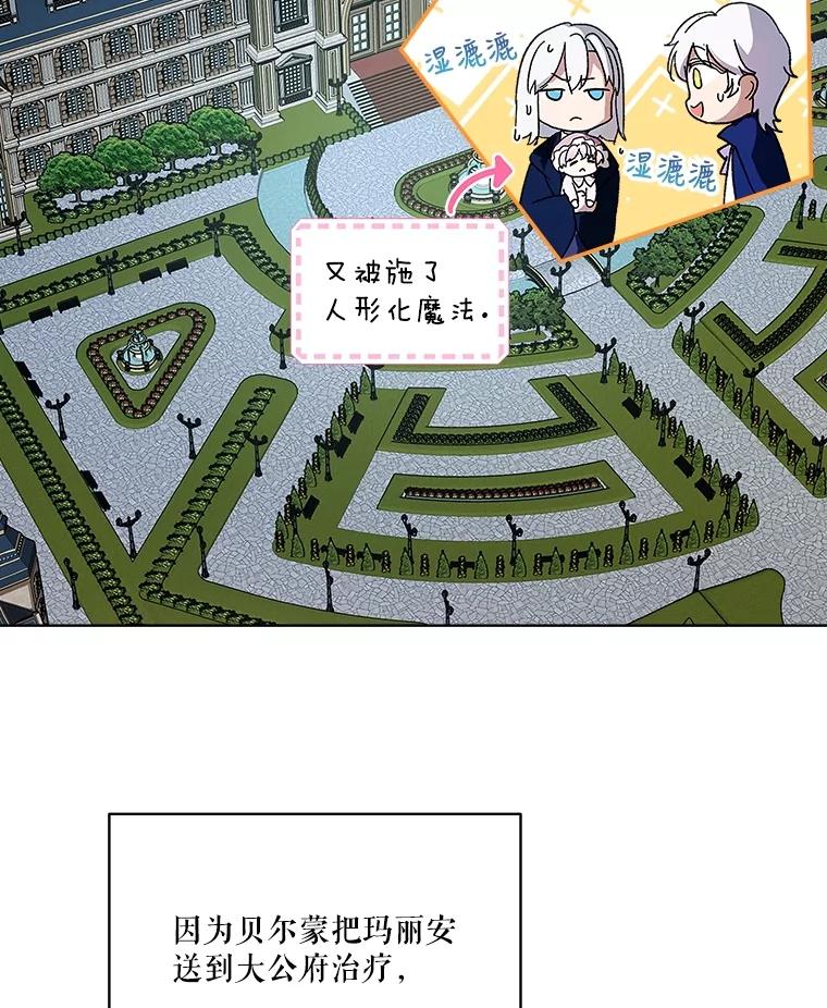 重生为神兽宝宝 - 10.相救 - 第78张图