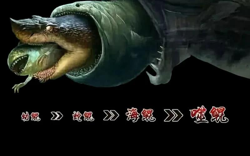 《开局一条鲲》序章 第6页