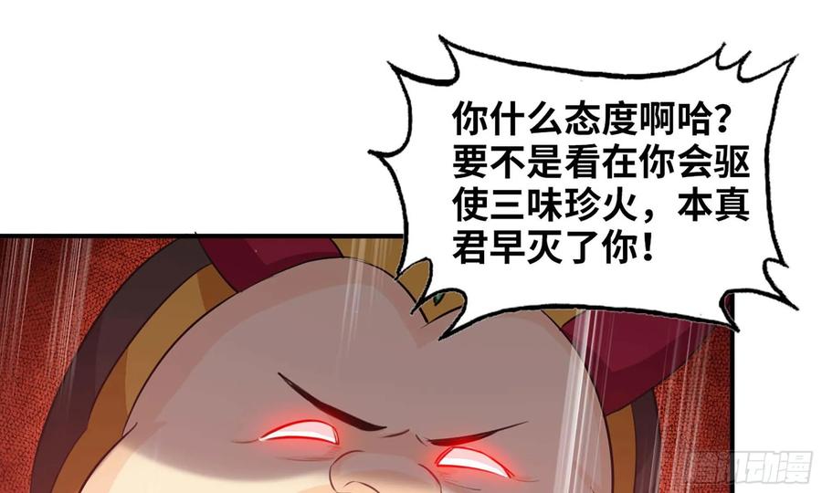《开局一条鲲》112- 五彩神石 第80页