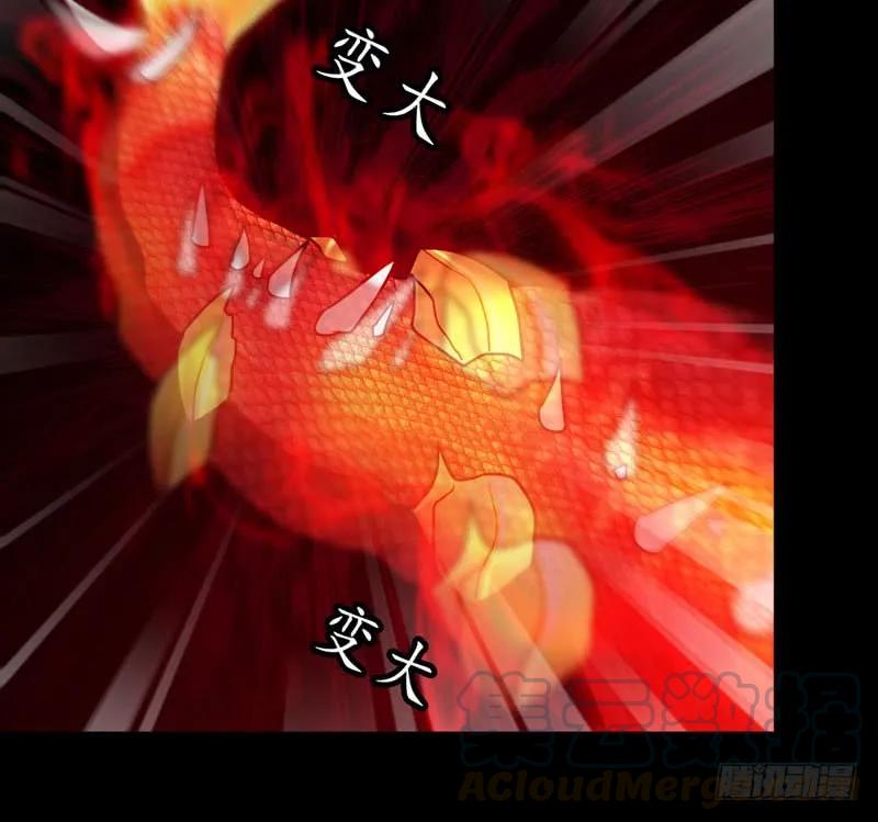 《开局一条鲲》小梓！ 第85页