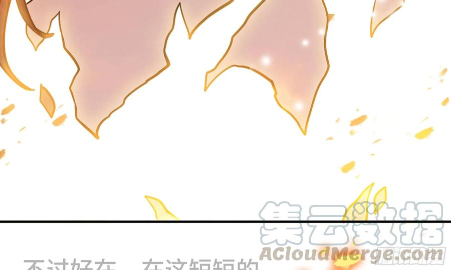《开局一条鲲》128- 飘落 第96页