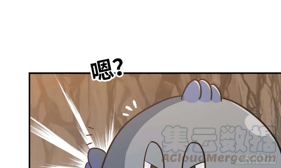 《开局一条鲲》143- 复活梨花 第13页