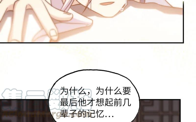 《开局一条鲲》十世姻缘的结局 第61页