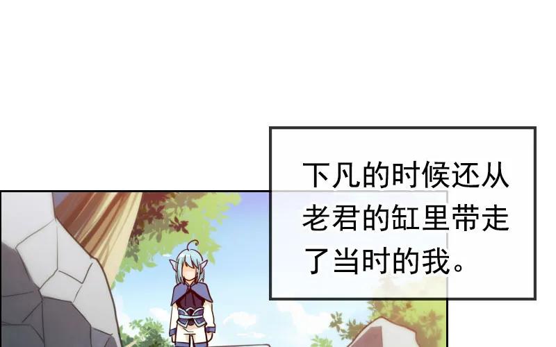 《开局一条鲲》我卖了大王 第57页