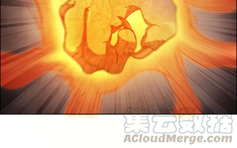 《开局一条鲲》我卖了大王 第111页