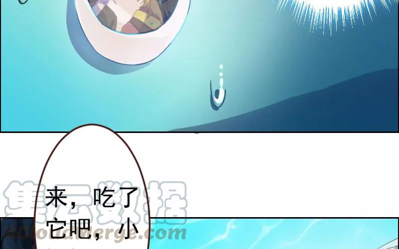 《开局一条鲲》我卖了大王 第26页