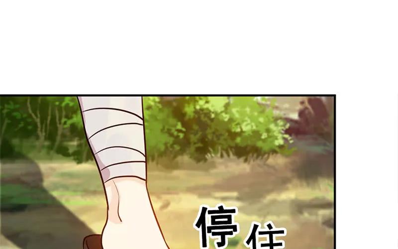 《开局一条鲲》我卖了大王 第193页