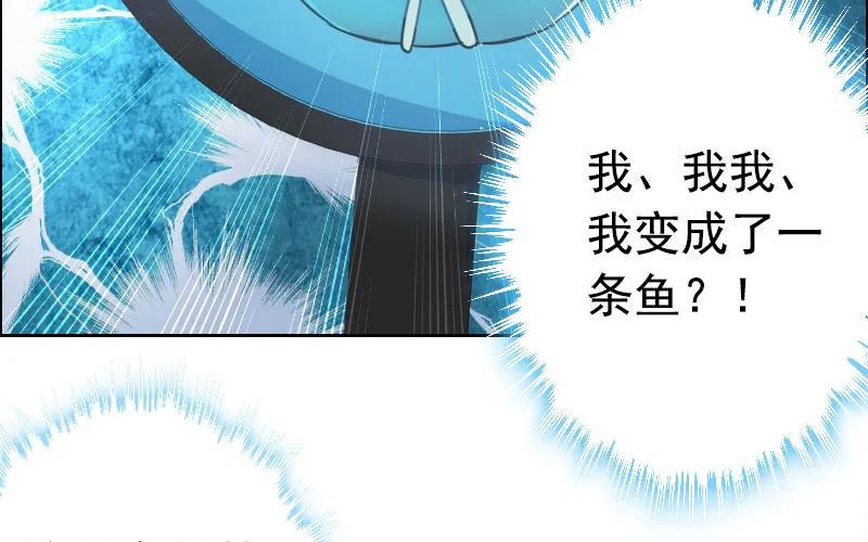 《开局一条鲲》我卖了大王 第19页