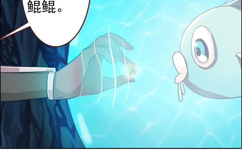 《开局一条鲲》我卖了大王 第27页