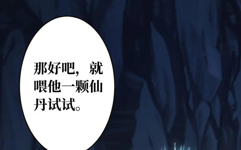 《开局一条鲲》我卖了大王 第13页