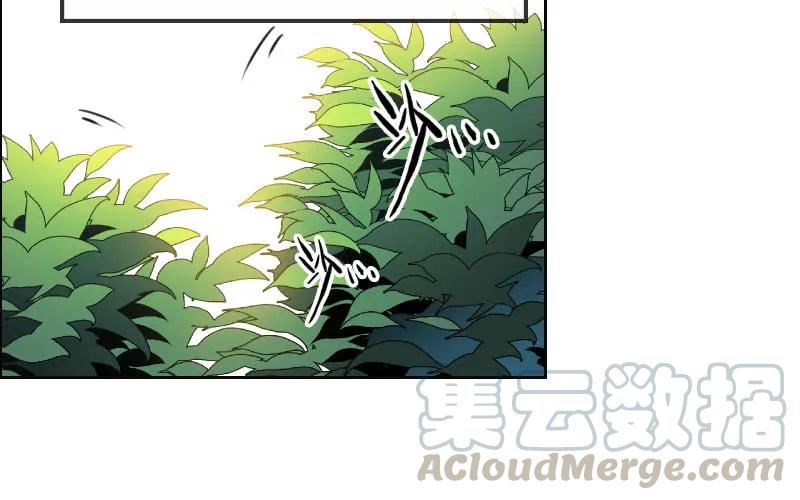 《开局一条鲲》我卖了大王 第71页