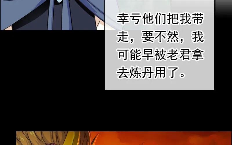 《开局一条鲲》我卖了大王 第60页
