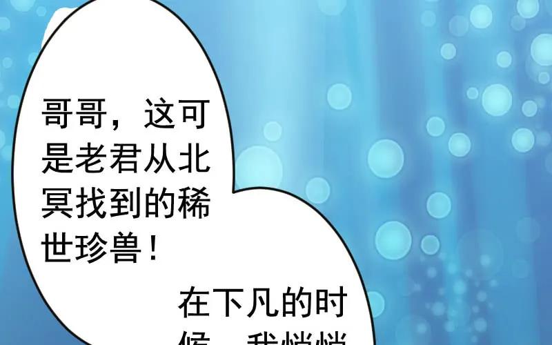 《开局一条鲲》我卖了大王 第2页