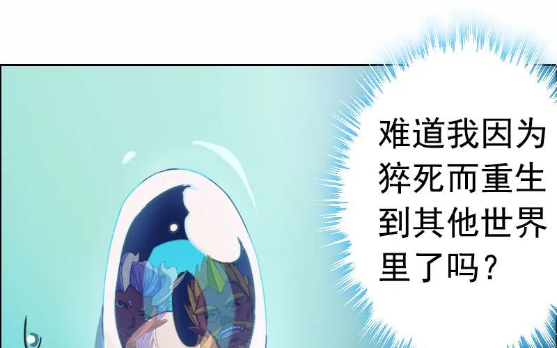 《开局一条鲲》我卖了大王 第25页