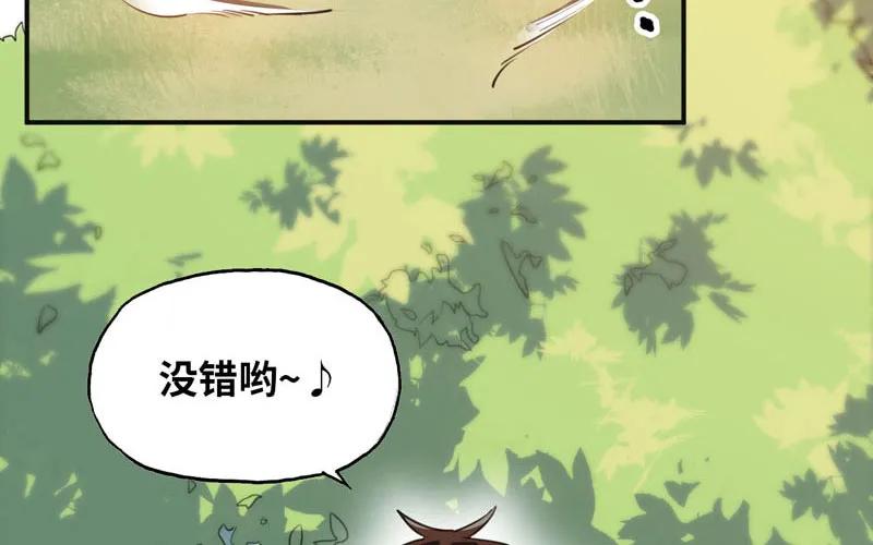 《开局一条鲲》我卖了大王 第155页
