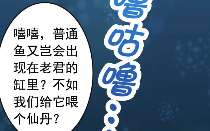 《开局一条鲲》我卖了大王 第5页