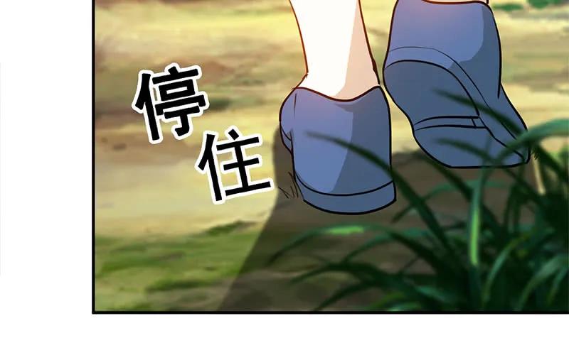 《开局一条鲲》我卖了大王 第192页