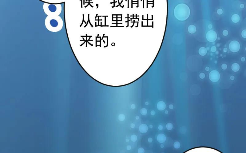 《开局一条鲲》我卖了大王 第3页