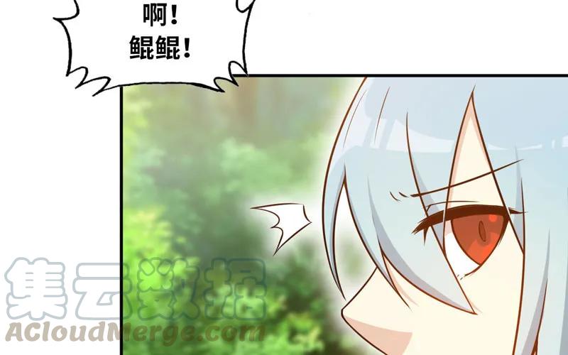 《开局一条鲲》女道士？ 第65页