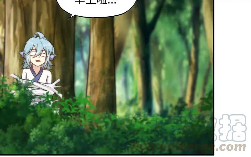 《开局一条鲲》女道士？ 第29页