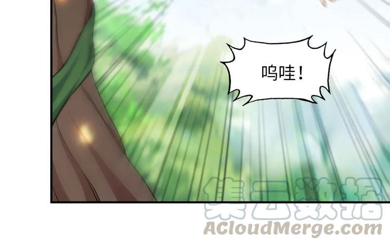 《开局一条鲲》变鱼！ 第41页