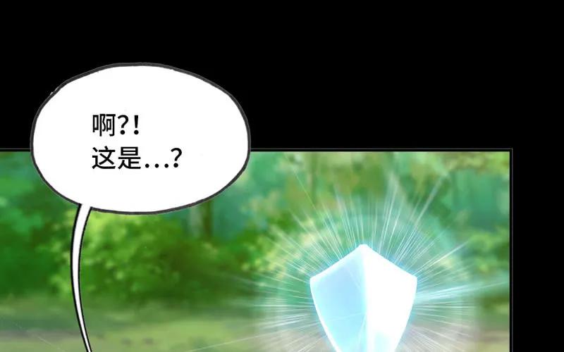 《开局一条鲲》龙鳞于始 第74页